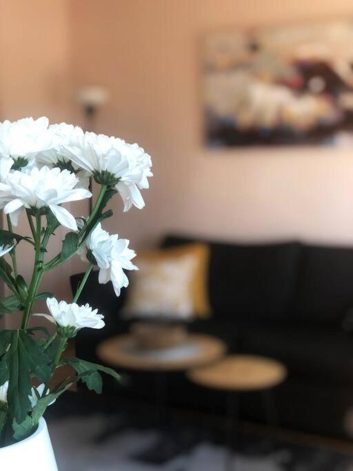 Quince Apartment-Free Parking-City Center Belgrad Exteriör bild