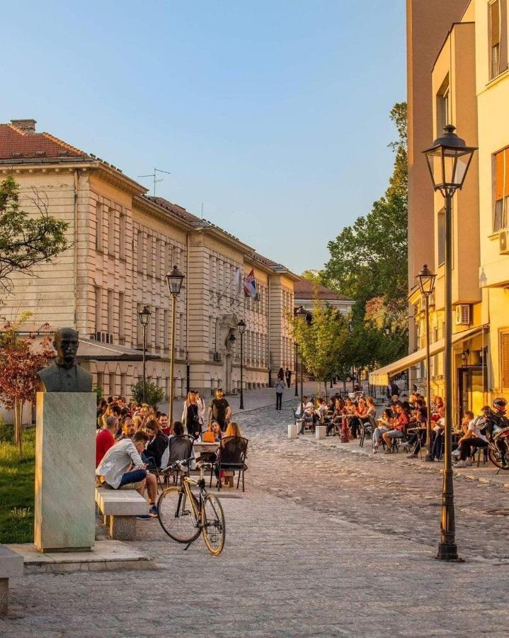 Quince Apartment-Free Parking-City Center Belgrad Exteriör bild